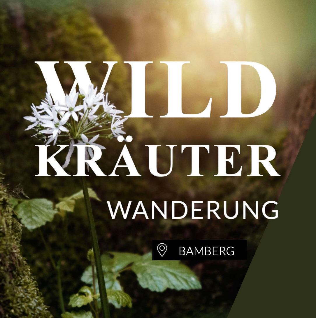 Wildkräuterwanderung Bamberg