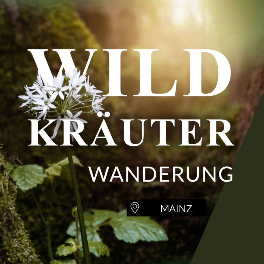 Wildkräuterwanderung Mainz