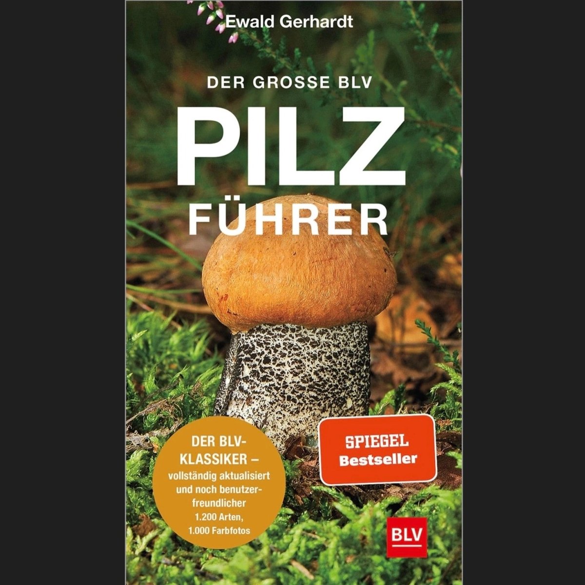 Der große BLV Pilzführer