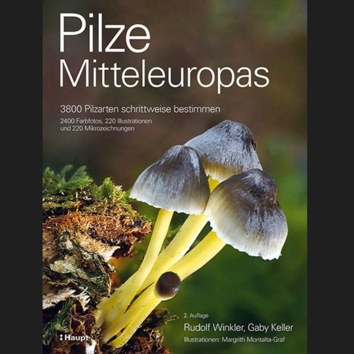 Pilze Mitteleuropas: 3800 Pilzarten schrittweise bestimmen