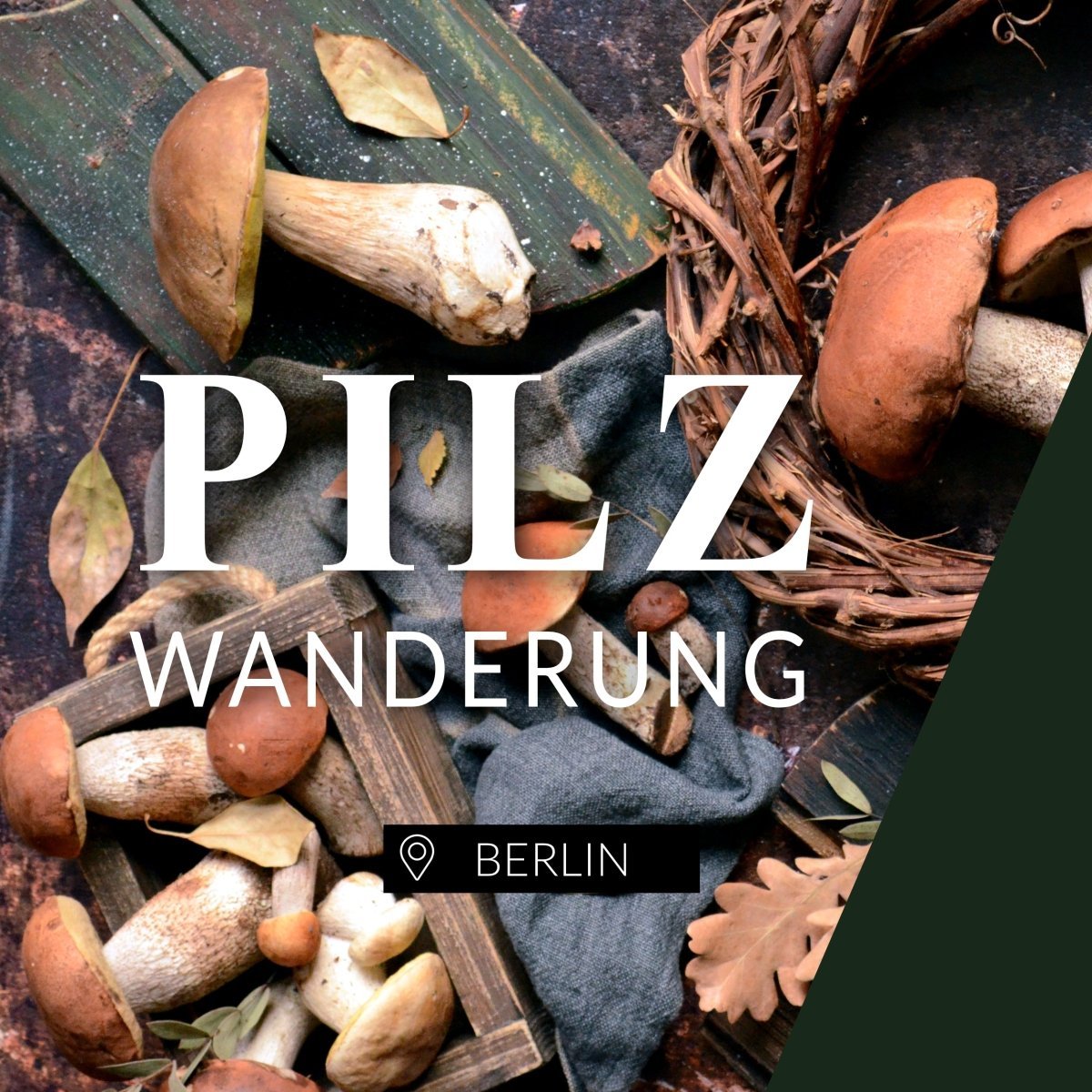 Pilzwanderung Berlin Rahnsdorf