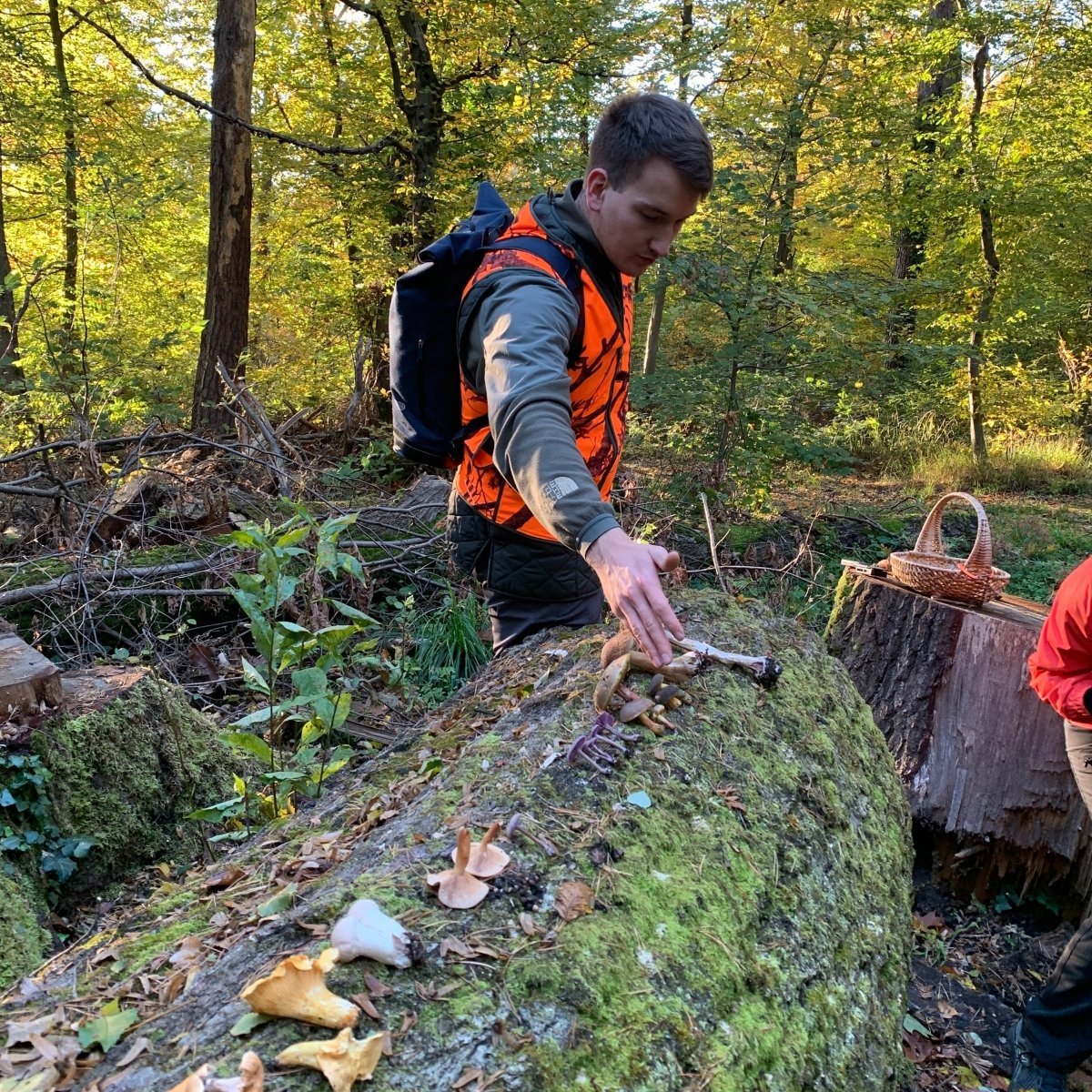 Pilzwanderung Berlin Rahnsdorf