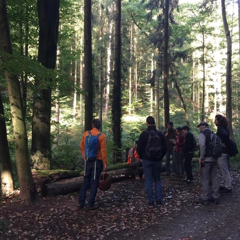 Pilzwanderung Lüneburger Heide