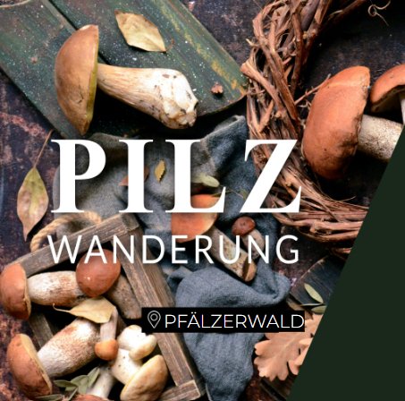 Pilzwanderung Pfälzerwald