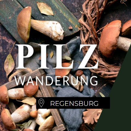 Pilzwanderung Regensburg