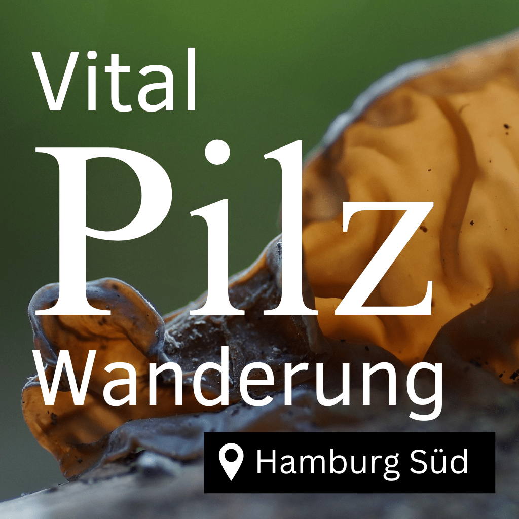 Vital- und Heilpilzwanderung Hamburg Süd