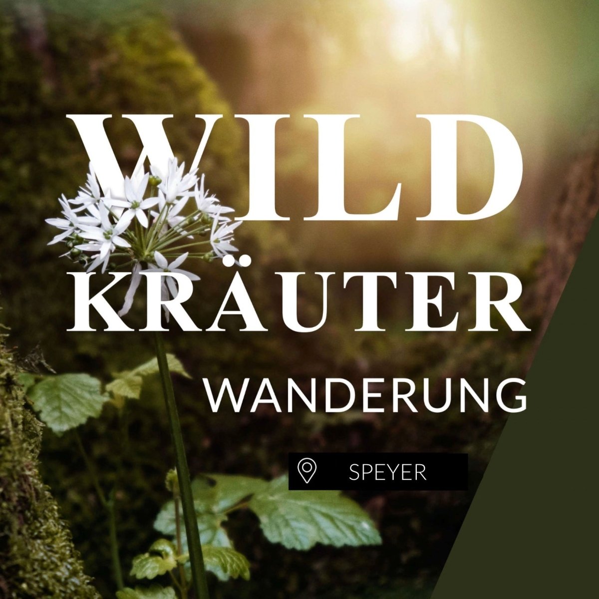 Wildkräuterwanderung Speyer