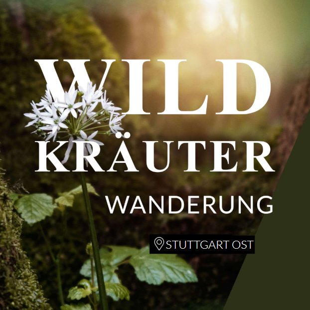 Wildkräuterwanderung Stuttgart Ost