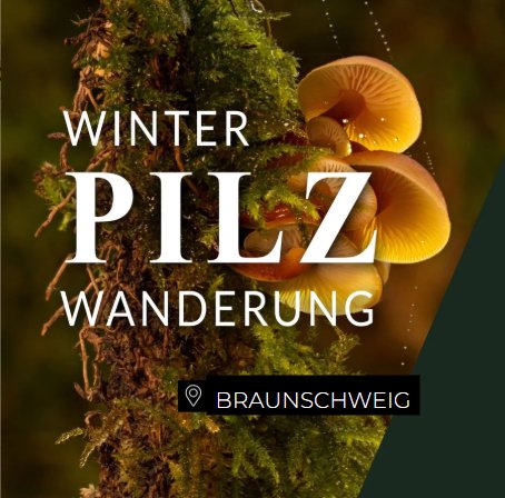 Winterpilzwanderung Braunschweig