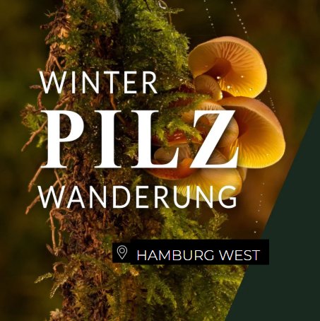 Winterpilzwanderung Hamburg West