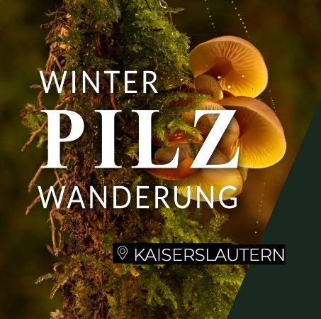 Winterpilzwanderung Kaiserslautern