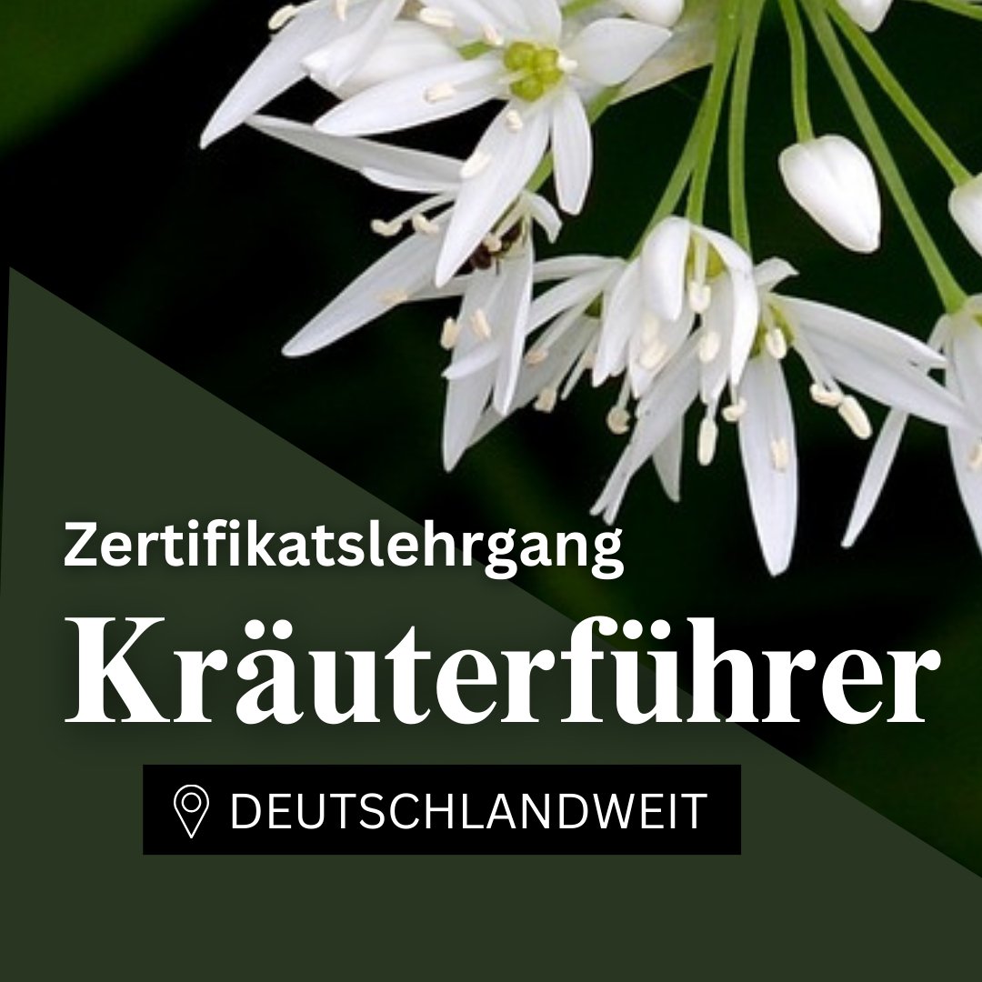 Zertifikatslehrgang Kräuterführer