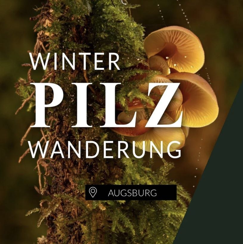 Winterpilzwanderung Augsburg