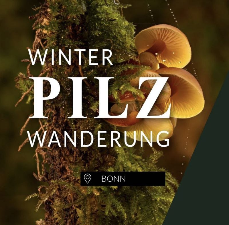 Winterpilzwanderung Bonn