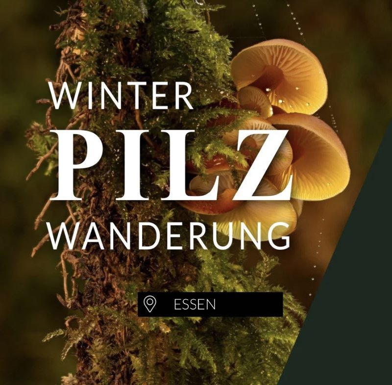 Winterpilzwanderung Essen